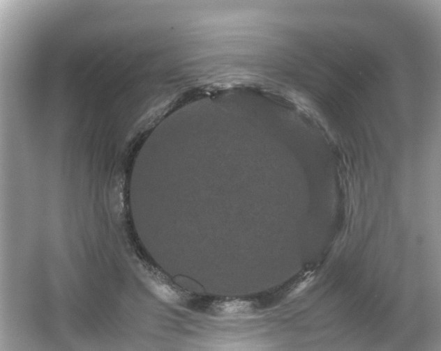 X0000066000501200603101534