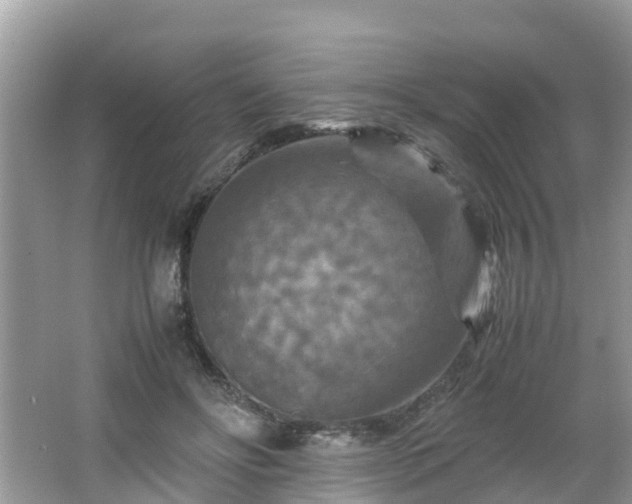 X0000066000502200603101534