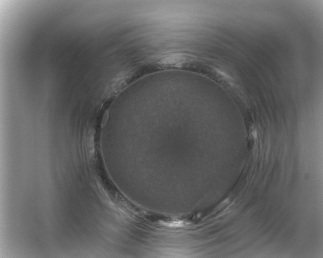 X0000066000504200603101534