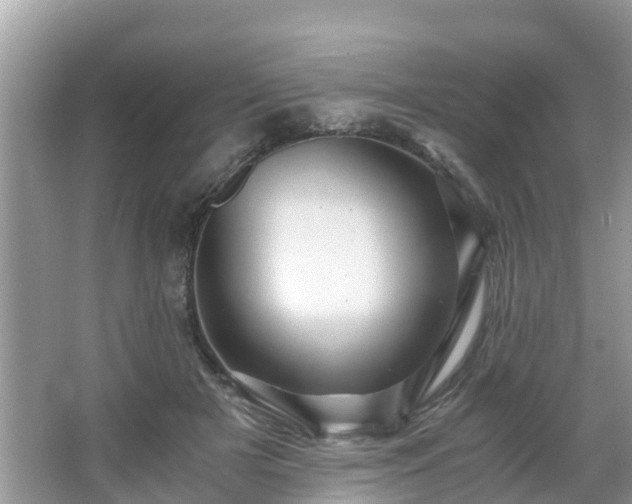 X0000066000505200603101534