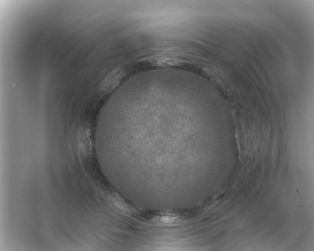 X0000066000506200603101534