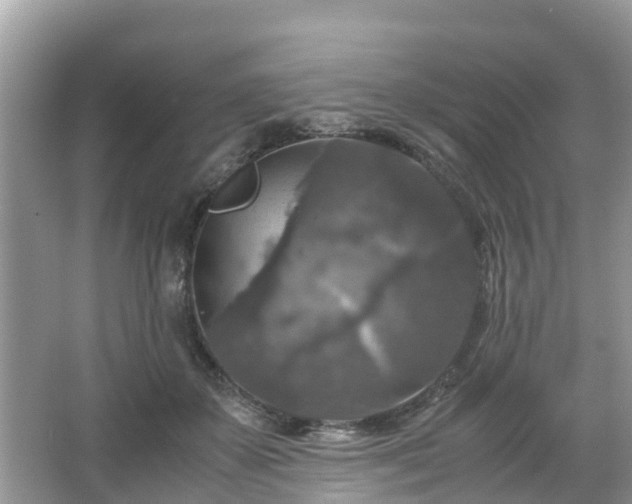 X0000066000507200603101534