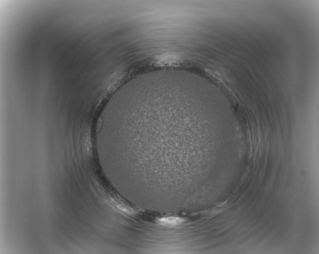 X0000066000508200603101534