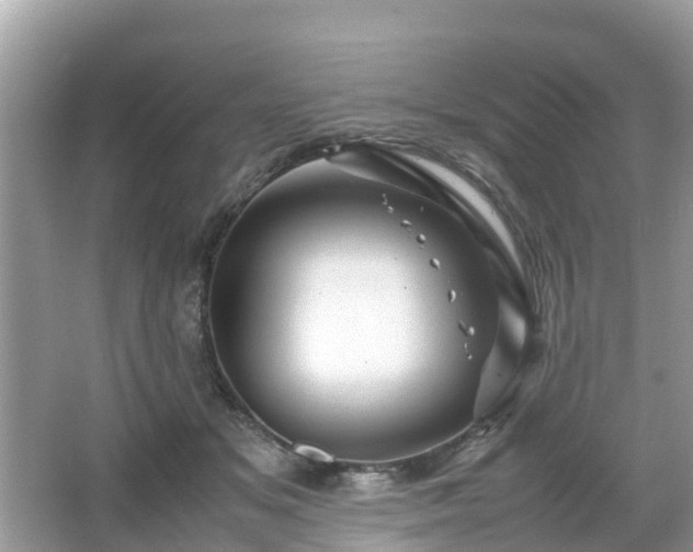 X0000066000509200603101534