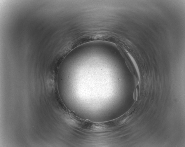 X0000066000510200603101534