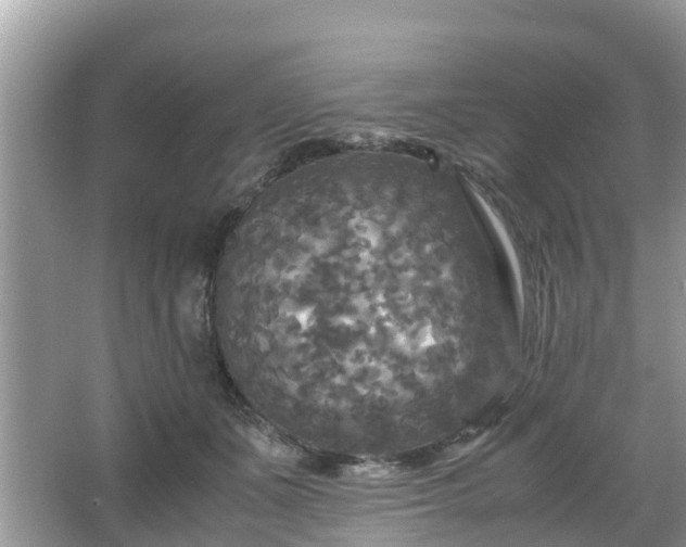 X0000066000511200603101534