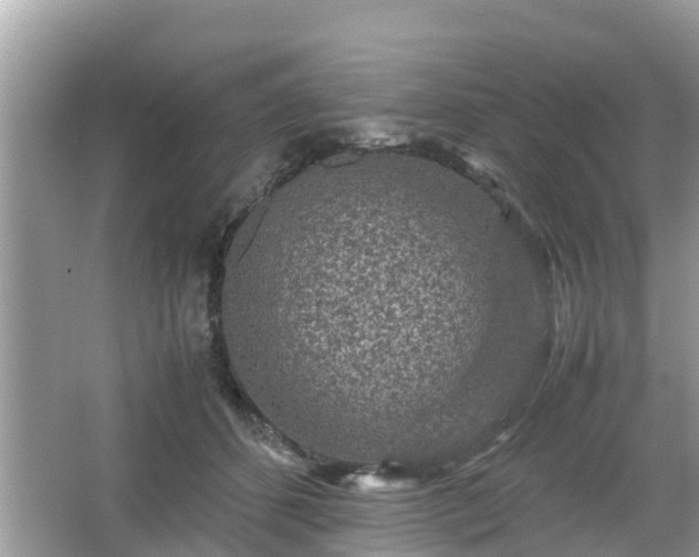 X0000066000512200603101534