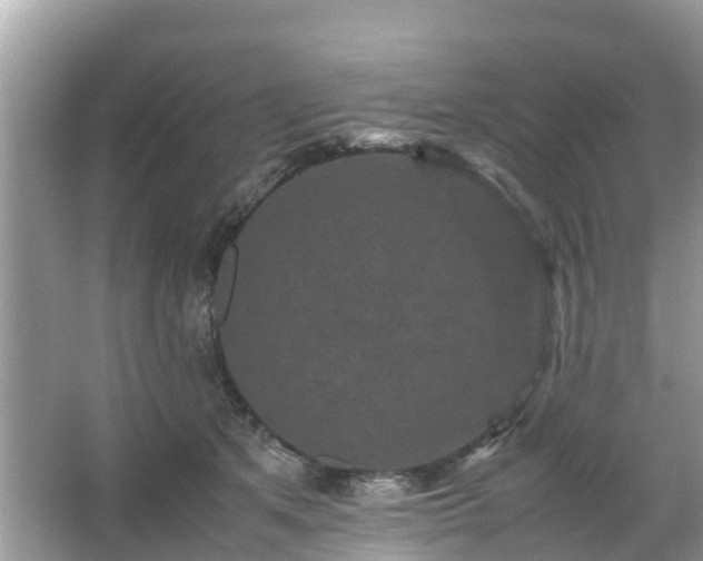 X0000066000513200603101534