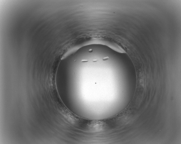 X0000066000514200603101534