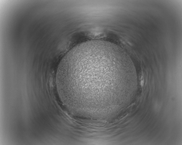 X0000066000515200603101534