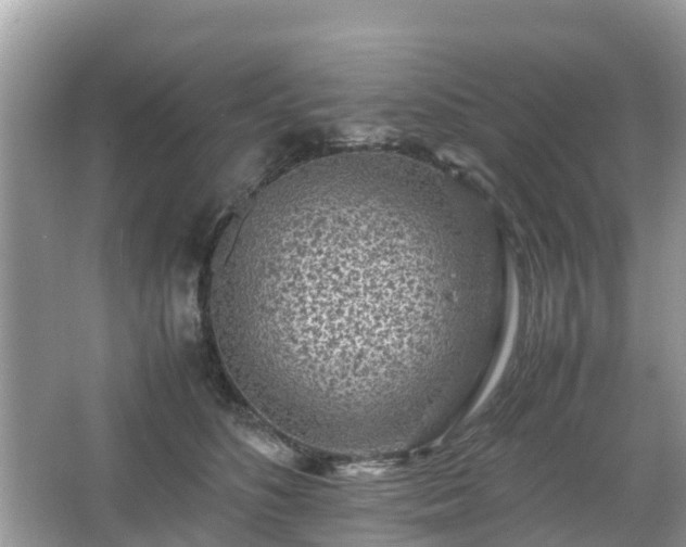 X0000066000516200603101534