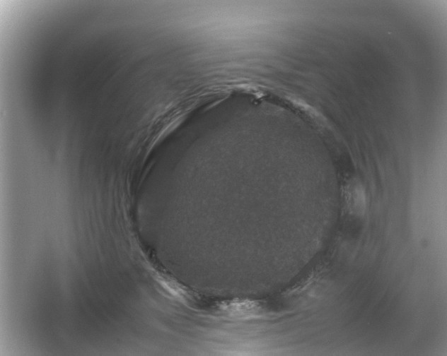 X0000066000517200603101534