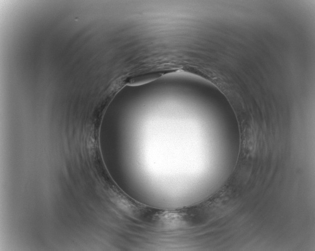 X0000066000518200603101534