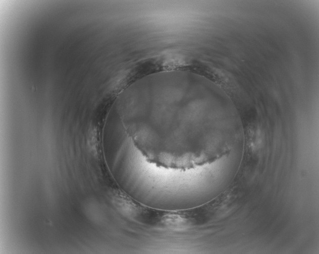 X0000066000519200603101534