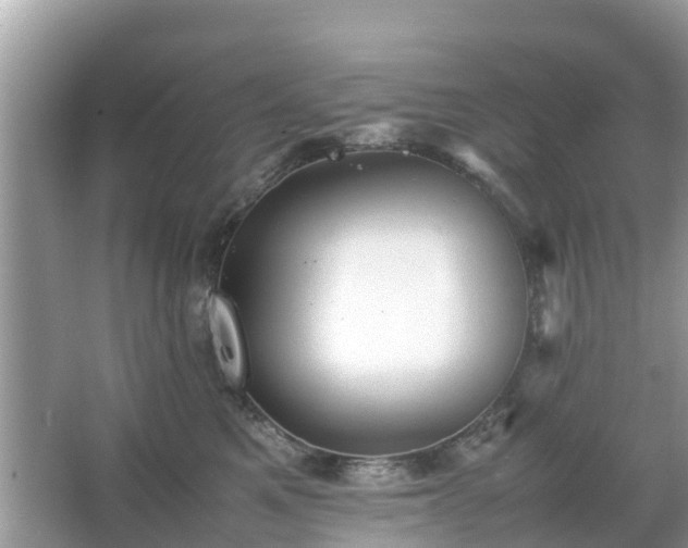 X0000066000521200603101534