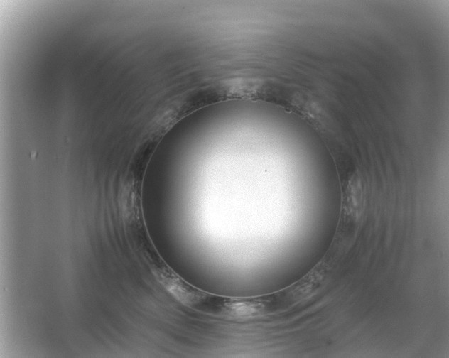 X0000066000522200603101534