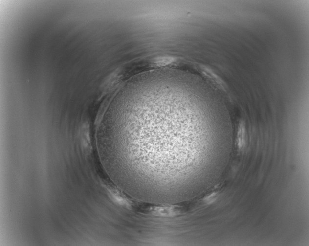 X0000066000524200603101534