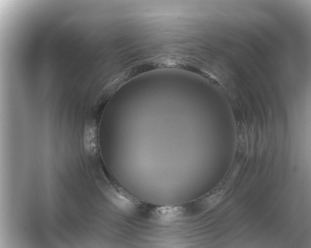 X0000066000526200603101534