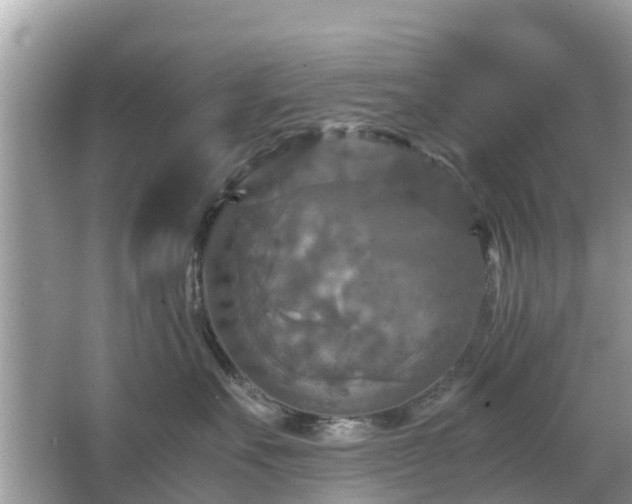 X0000066000527200603101534