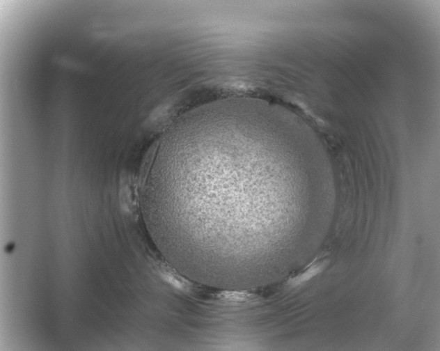 X0000066000528200603101534