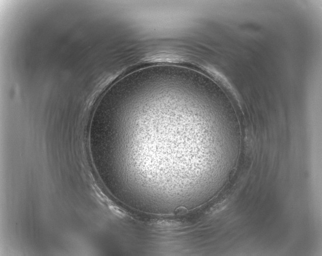 X0000066000529200603101533