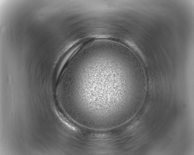 X0000066000533200603101533