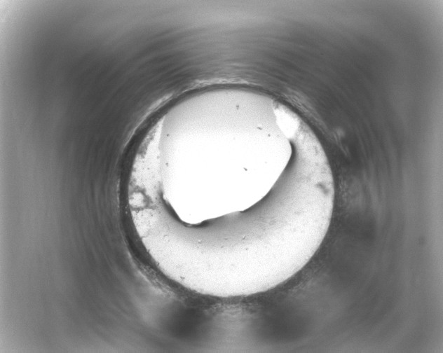 X0000066000534200603101533