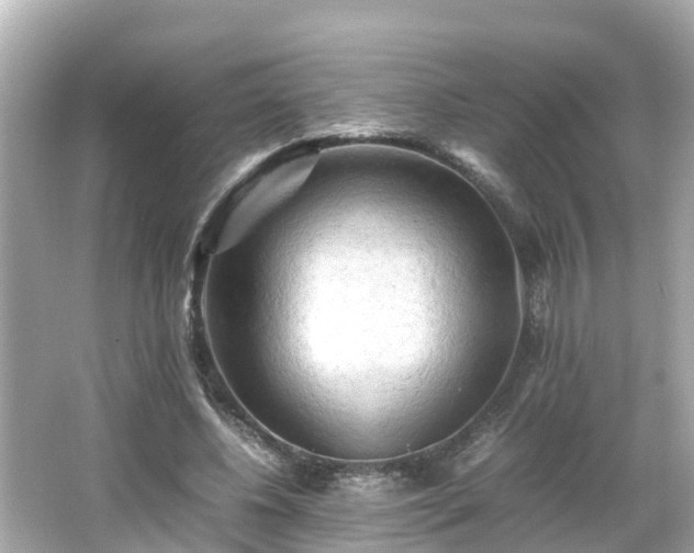 X0000066000540200603101533