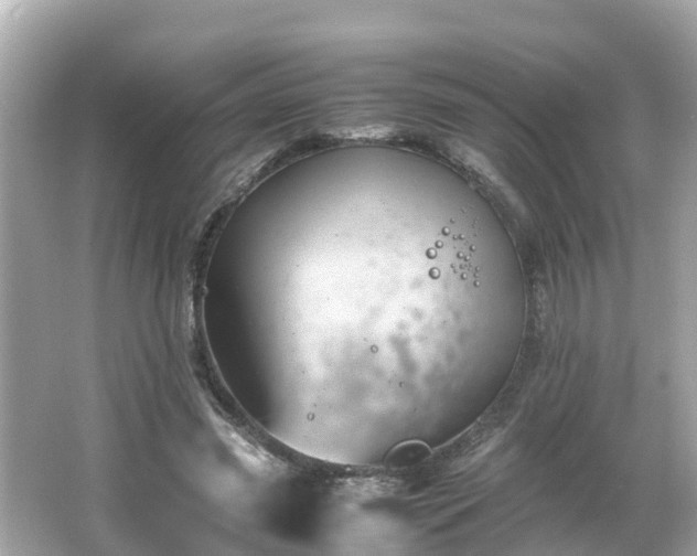 X0000066000541200603101533