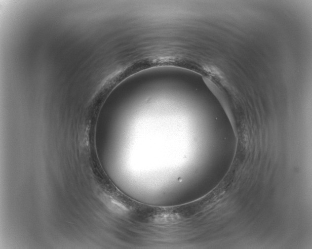 X0000066000543200603101533