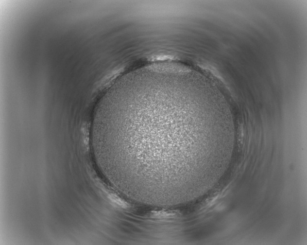 X0000066000545200603101533