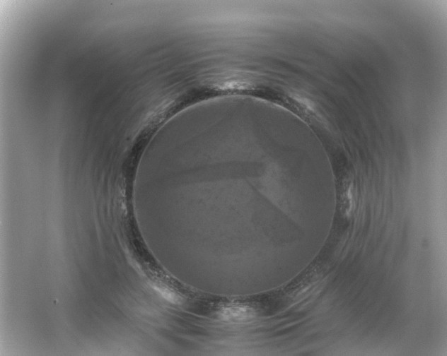 X0000066000547200603101533