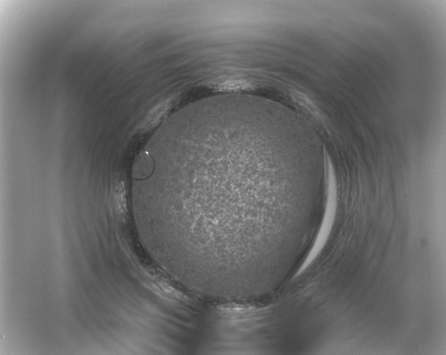 X0000066000549200603101533