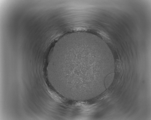 X0000066000550200603101533