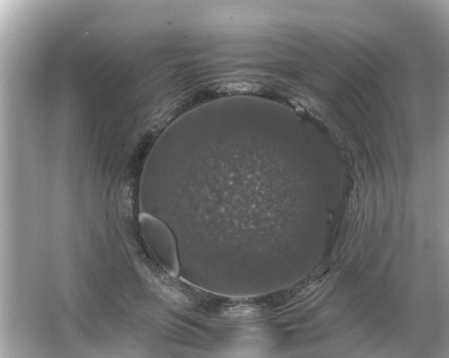 X0000066000551200603101533