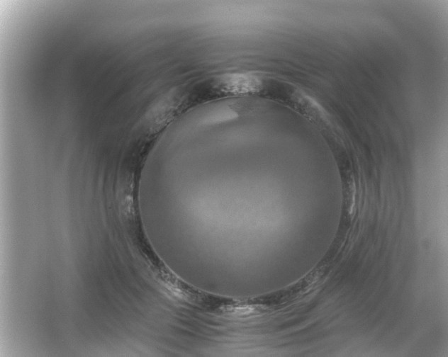 X0000066000553200603101533