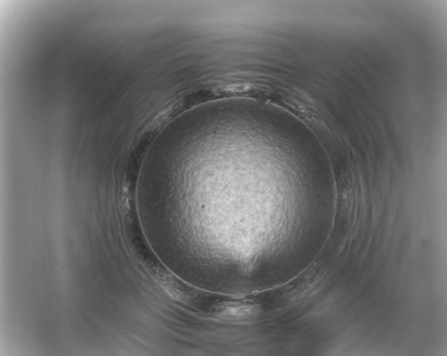 X0000066000555200603101533