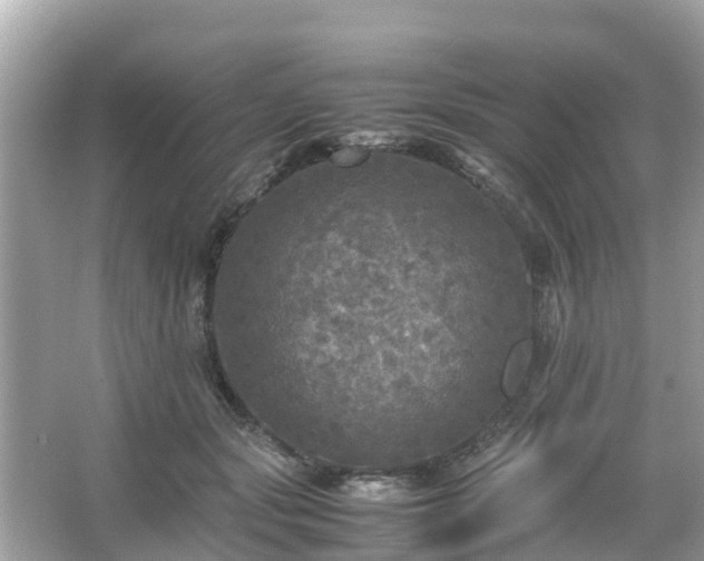 X0000066000557200603101533