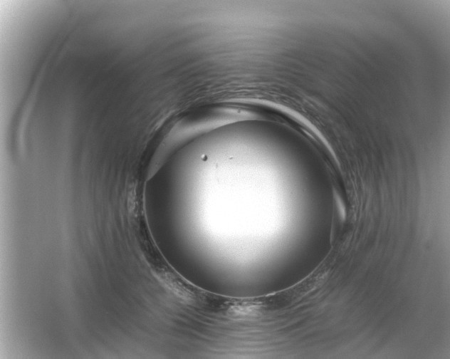 X0000066000560200603101533