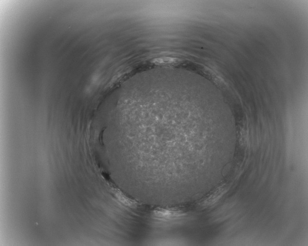 X0000066000561200603101533