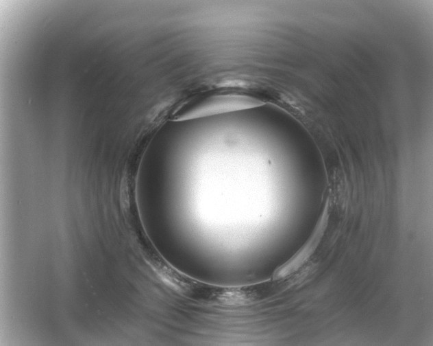 X0000066000562200603101533