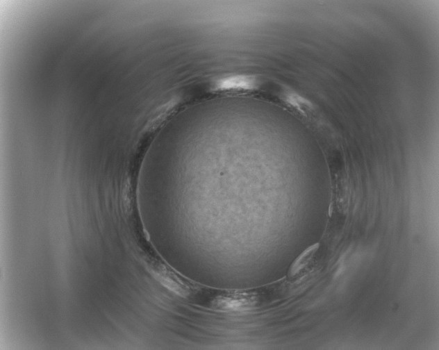 X0000066000563200603101533