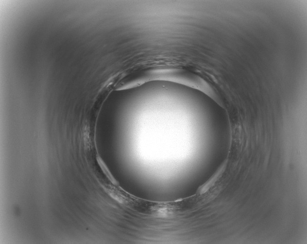 X0000066000564200603101533