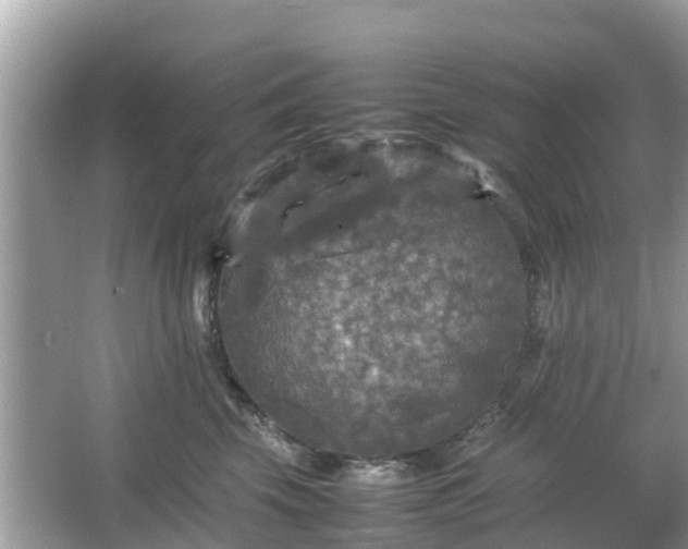 X0000066000569200603101534