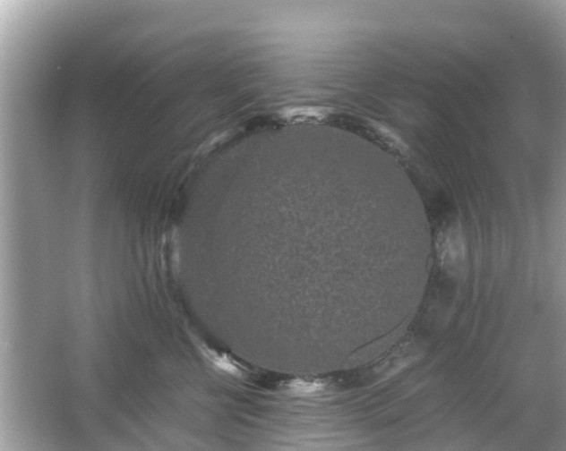 X0000066000570200603101534