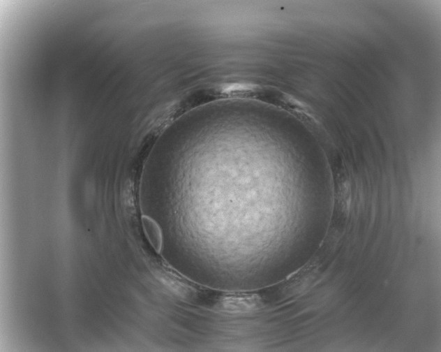 X0000066000571200603101534