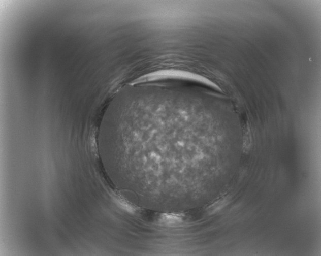 X0000066000573200603101534