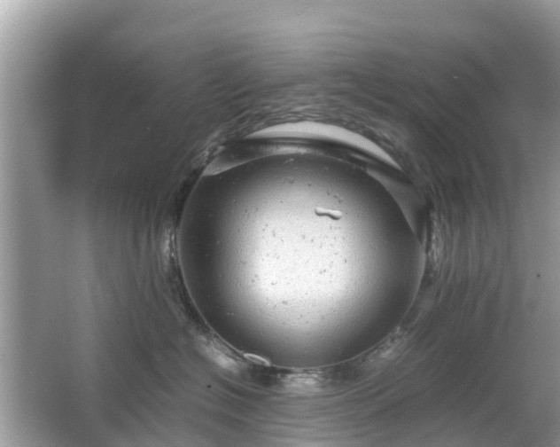 X0000066000574200603101534