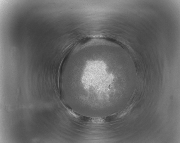 X0000066000576200603101534