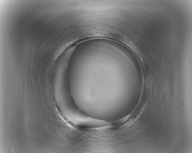 X0000066000577200603101533